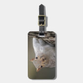 Neugieriges Eichhörnchen Gepäckanhänger (Vorderseite vertikal)