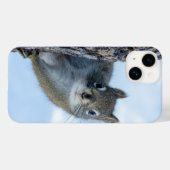 Neugieriges Eichhörnchen, kanadische Naturfotograf Case-Mate iPhone Hülle (Rückseite (Horizontal))