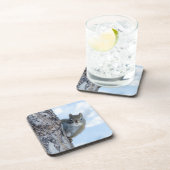 Neugieriges Eichhörnchen, kanadische Tierfotografi Getränkeuntersetzer (Rechte Seite)