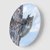 Neugieriges Eichhörnchen, kanadische Tierfotografi Große Wanduhr (Winkel)