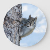 Neugieriges Eichhörnchen, kanadische Tierfotografi Große Wanduhr (Vorderseite)