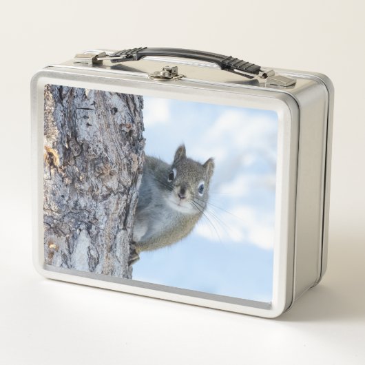 Neugieriges Eichhörnchen, kanadische Tierfotografi Metall Brotdose (Vorderseite)