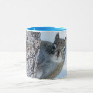 Neugieriges Eichhörnchen, von einem Baum herbeizau Tasse
