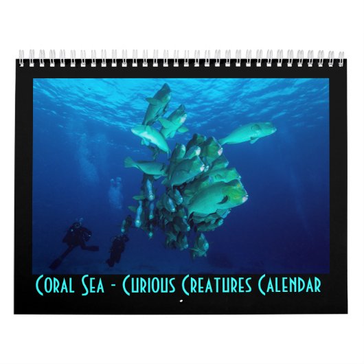 Neugieriges Geschöpf-Great Barrier Reef Kalender (Titelbild)