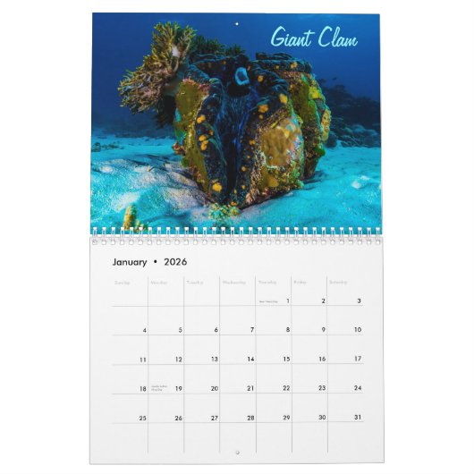 Neugieriges Geschöpf-Great Barrier Reef Kalender (Jan 2026)