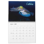 Neugieriges Geschöpf-Great Barrier Reef Kalender (Mär 2027)