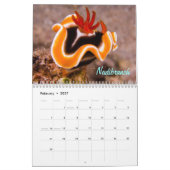 Neugieriges Geschöpf-Great Barrier Reef Kalender (Feb 2027)