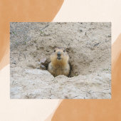 Neugieriges Groundhog Peeking aus Burrow Postkarte