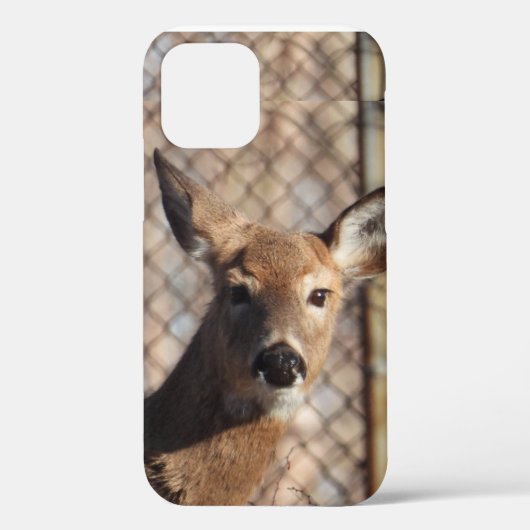 Neugieriges Hirsch im Wald Case-Mate iPhone Hülle (Rückseite)