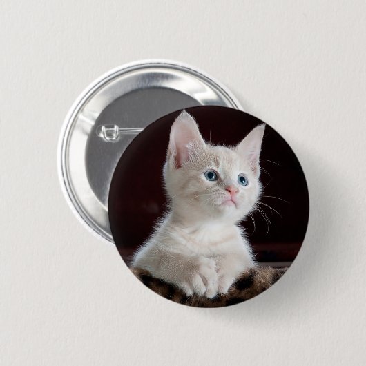 Neugieriges Kätzchen Button (Vorne & Hinten)