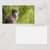 Neugieriges Kätzchen Visitenkarte (Vorne/Hinten)