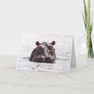 Neugieriges Keeboko (Flusspferd) Karte