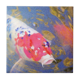 Neugieriges Koi Fliese