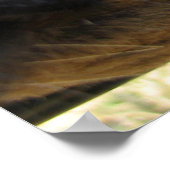 Neugieriges Kuhposter Poster (Ecke)