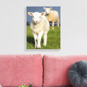 Neugieriges Lamm Leinwanddruck (Insitu (Wohnzimmer))