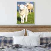 Neugieriges Lamm Leinwanddruck (Insitu (Schlafzimmer))