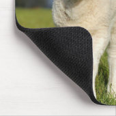Neugieriges Lamm Mousepad (Ecke)