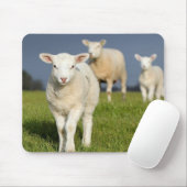 Neugieriges Lamm Mousepad (Mit Mouse)
