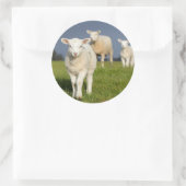 Neugieriges Lamm Runder Aufkleber (Tasche)