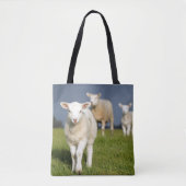 Neugieriges Lamm Tasche (Vorderseite)