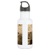 Neugieriges Meerkat Edelstahlflasche (Rückseite)