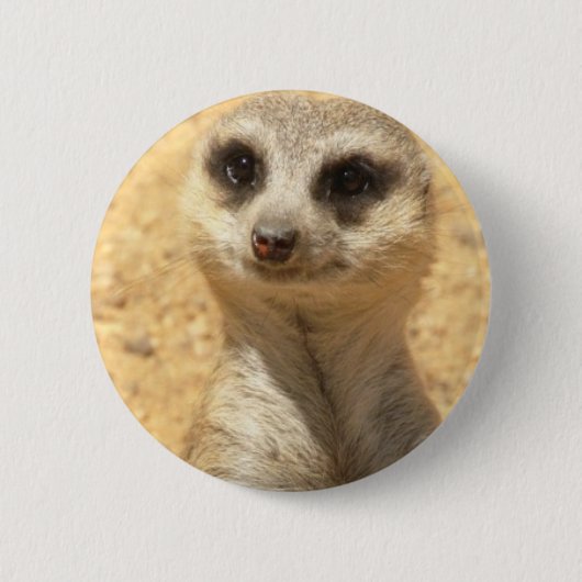 Neugieriges Meerkat rundes Button (Vorderseite)