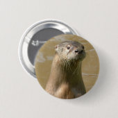 Neugieriges Otter-Button Button (Vorne & Hinten)