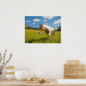 Neugieriges Pferd auf der Alp Wiese im Sommer Poster (Küche)