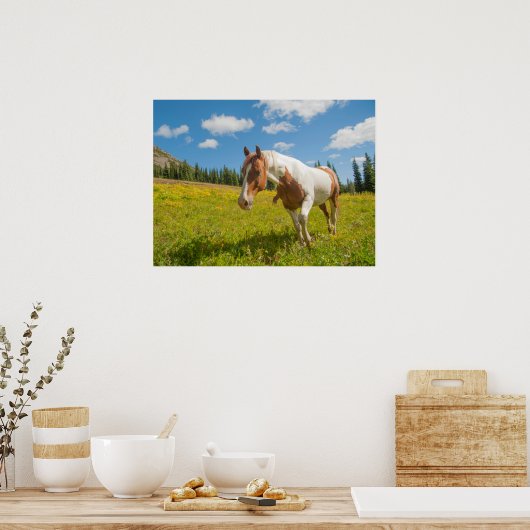 Neugieriges Pferd auf der Alp Wiese im Sommer Poster (Küche)