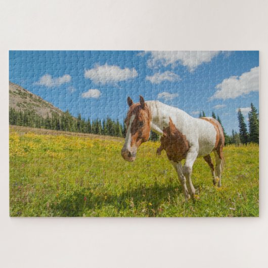 Neugieriges Pferd auf der Alp Wiese im Sommer Puzzle (Horizontal)
