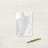 Neugieriges Pferd durch das Küchenfenster schauen Post-it Klebezettel (Auf Schreibtisch)