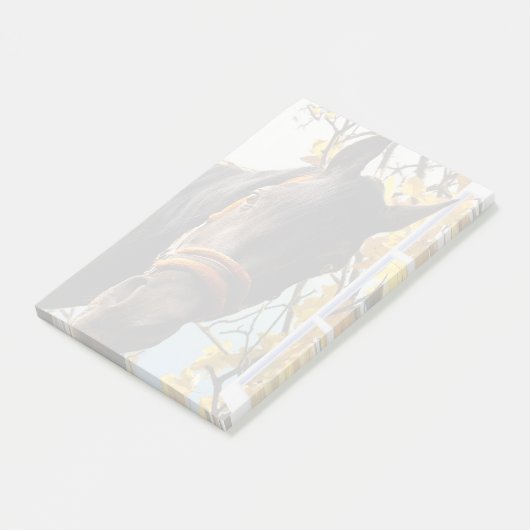 Neugieriges Pferd durch das Küchenfenster schauen Post-it Klebezettel (angewinkelt)