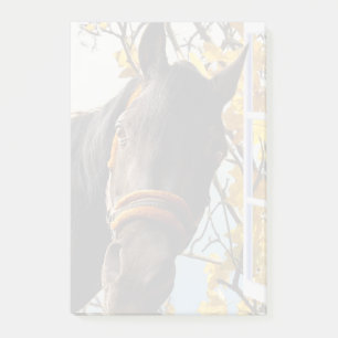 Neugieriges Pferd durch das Küchenfenster schauen Post-it Klebezettel