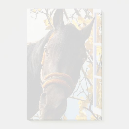 Neugieriges Pferd durch das Küchenfenster schauen Post-it Klebezettel (Vorderseite)