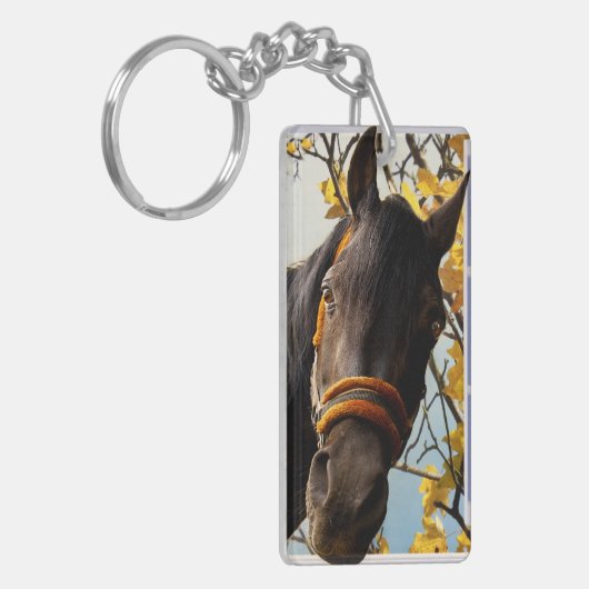 Neugieriges Pferd durch das Küchenfenster schauen Schlüsselanhänger (Vorderseite links)