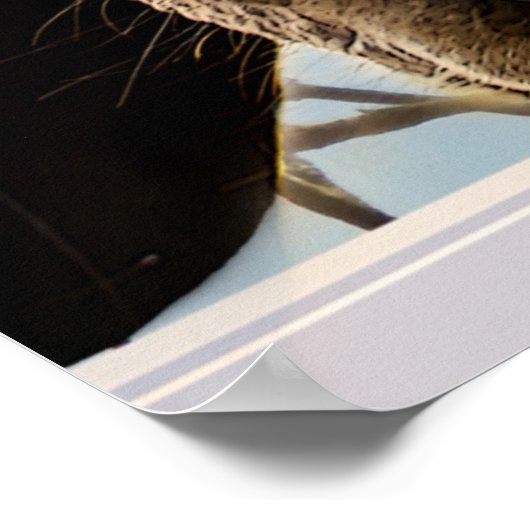 Neugieriges Pferd durch ein Küchenfenster schauen Poster (Ecke)