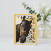 Neugieriges Pferd durch ein Küchenfenster schauen Postkarte (Stehend Vorderseite)