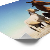 Neugieriges Pferd Poster (Ecke)