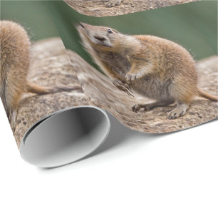 Neugieriges Präriehund-Wrap-Papier Geschenkpapier
