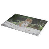 Neugieriges rotes Eichhörnchen-Schneidebrett Schneidebrett (Ecke)