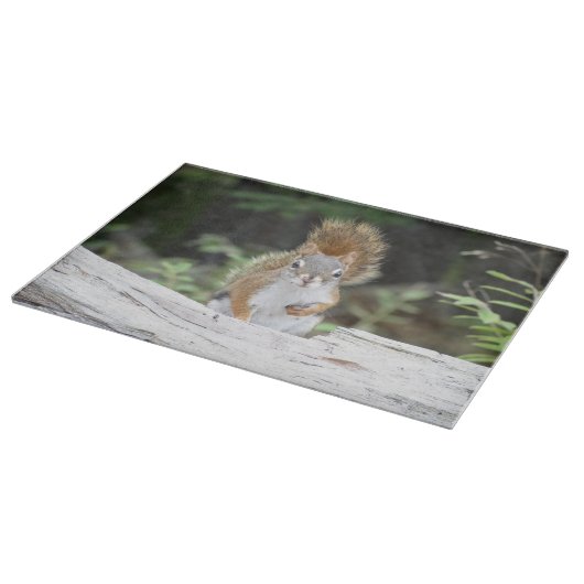 Neugieriges rotes Eichhörnchen-Schneidebrett Schneidebrett (Ecke)