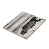 Neugieriges Schwarzes Pferd Fliese (Seite)