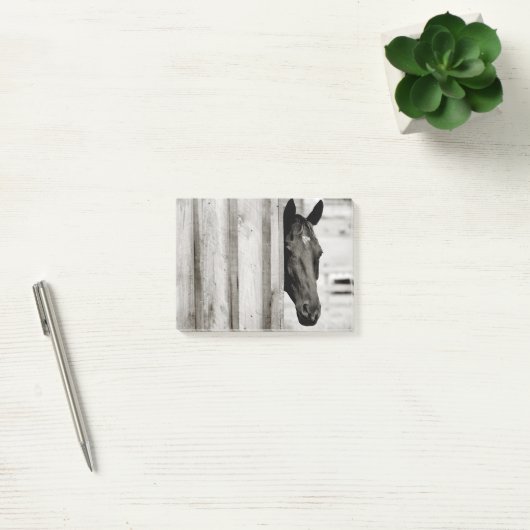 Neugieriges Schwarzes Pferd Post-it Klebezettel (Büro)