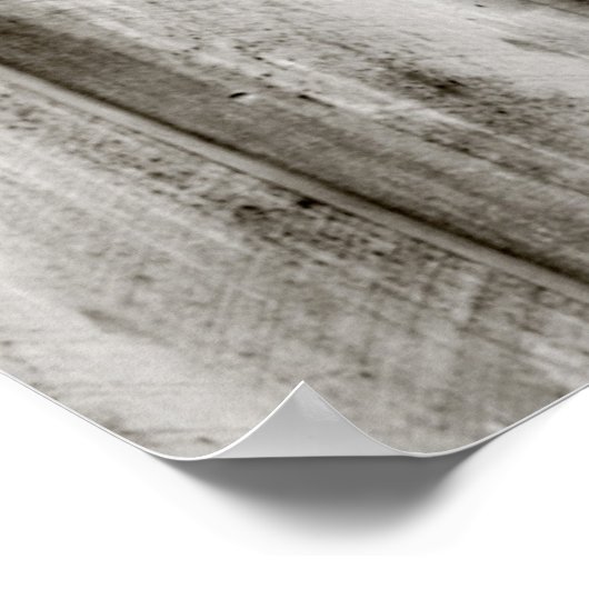 Neugieriges Schwarzes Pferd Poster (Ecke)