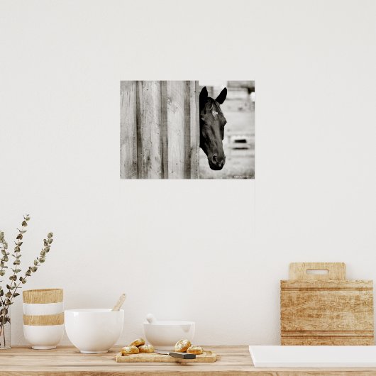 Neugieriges Schwarzes Pferd Poster (Küche)