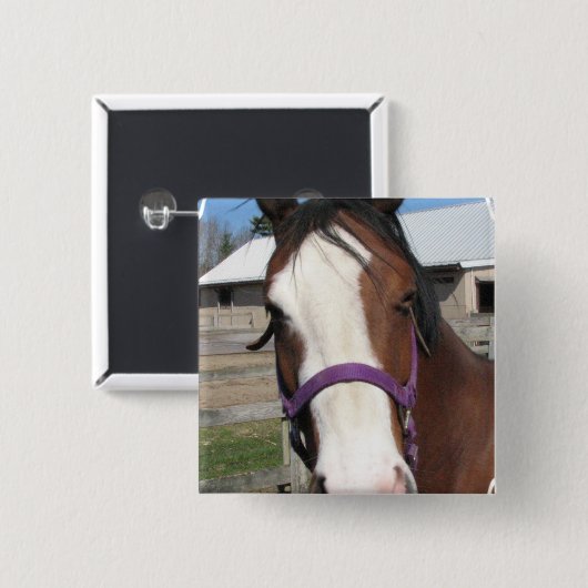 Neugieriges Viertelpferdequadrat-Button Button (Vorne & Hinten)