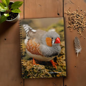Neugieriges Zebra Finch auf den Felsen Notizblock