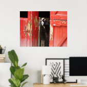 Neugieriges Ziegenposter Poster (Heimbüro)