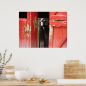 Neugieriges Ziegenposter Poster (Küche)