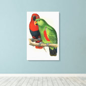 Neuguinea-Eclectus, Papageien, Leinwanddruck (Insitu (Holzboden))